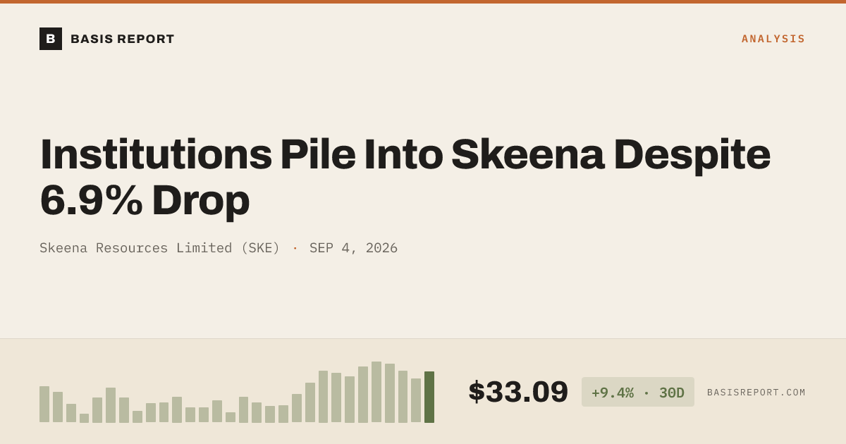 Skeena Resources Limited (SKE) stock analysis